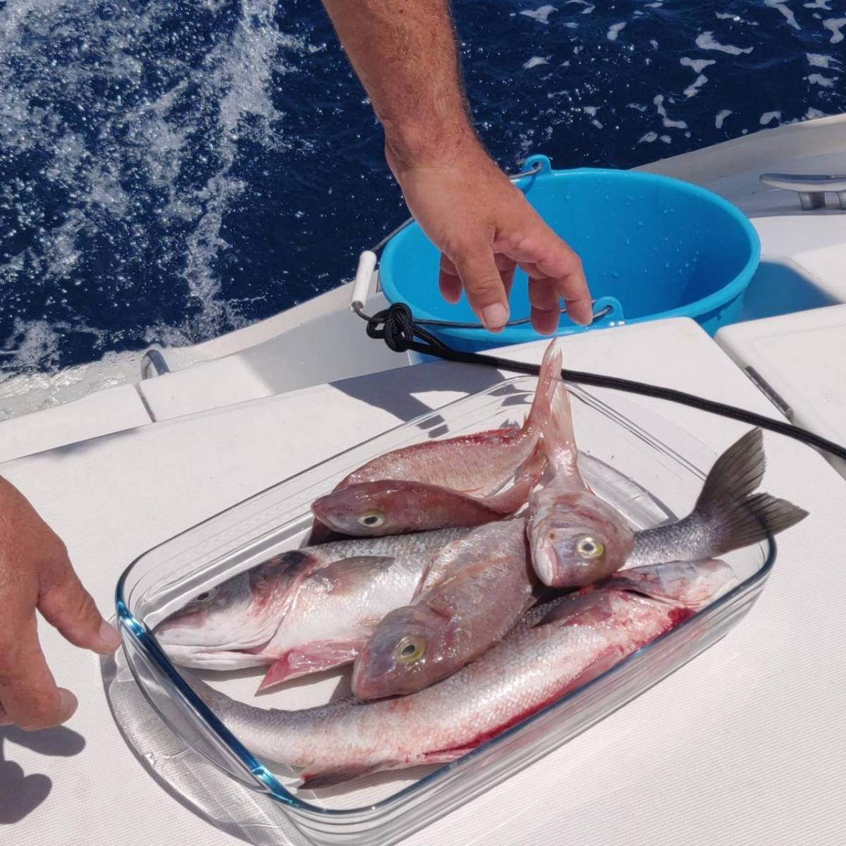 Fisherman showing a glass container full of freshly caught fish