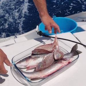 Fisherman showing a glass container full of freshly caught fish